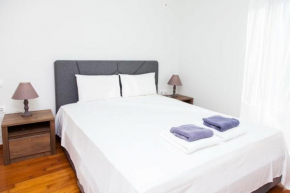 Modern apt in heart of Paleo Faliro